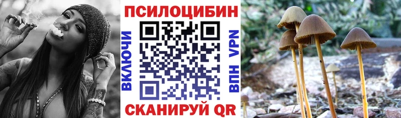 Галлюциногенные грибы Psilocybine cubensis  Лебедянь 